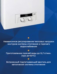 Настенный газовый котел Protherm Рысь НК 28
